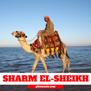SHARM EL-SHEIKH • 17-24 MAGGIO 2026